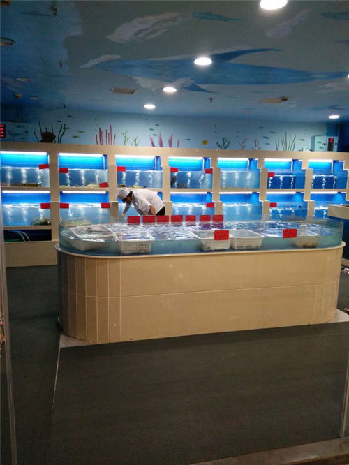 酒店海鮮池產品介紹與在線咨詢服務